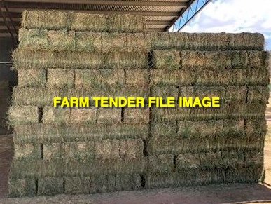 WANTED 700 x Premium Quality Lucerne Small Square Bales