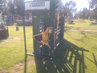 Arrowquip Q-Catch Cattle Crush