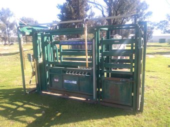 Arrowquip Q-Catch Cattle Crush