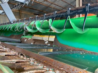 2008 John Deere 936 Draper Front on Trailer