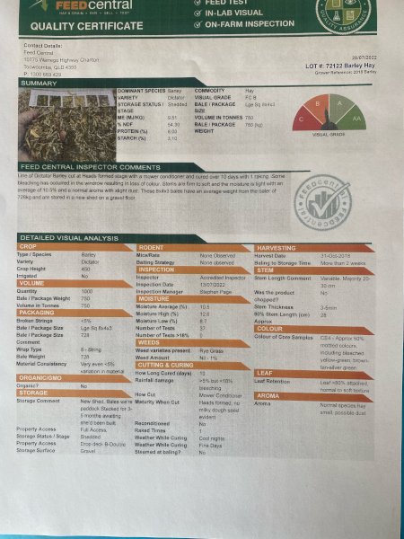200mt Barley Hay 700-750kg 8x4x3 Bales