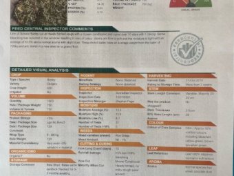 200mt Barley Hay 700-750kg 8x4x3 Bales