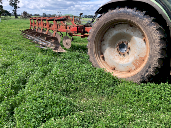 Sanderum Mouldboard Plough