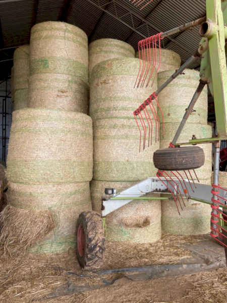 100 x Oaten Pasture Hay Rolls