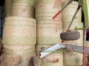 100 x Oaten Pasture Hay Rolls
