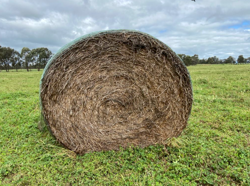 100 x Clover Hay 5x4 Rolls
