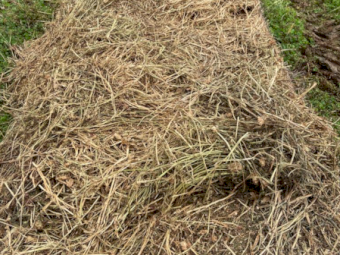 100 x Clover Hay 5x4 Rolls