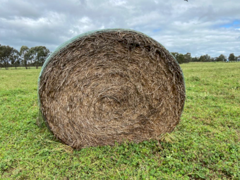100 x Clover Hay 5x4 Rolls