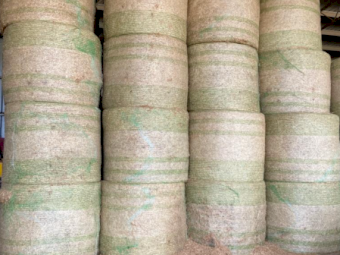 120 x Lucerne Pasture 5x4 Rolls