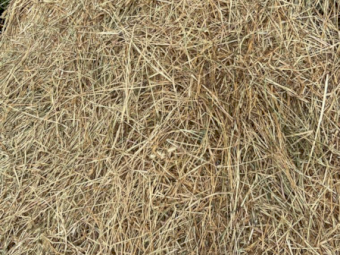 120 x Lucerne Pasture 5x4 Rolls