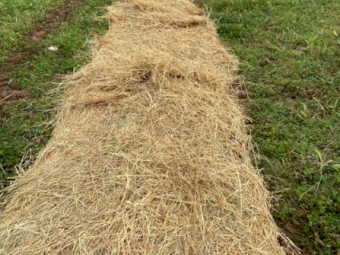 120 x Lucerne Pasture 5x4 Rolls