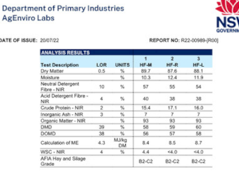 55mt Lucerne Hay 550kg 8x4x3 Bales