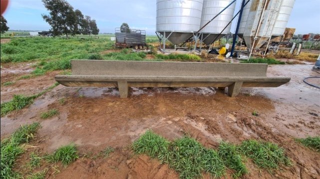10 X 6Mtr Concrete Feed Troughs