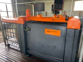 Under Auction - (A203) 2018 Gallagher Sheep Auto Drafter 
