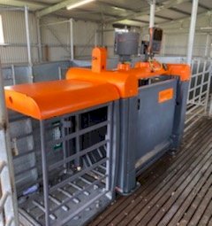 Under Auction - (A203) 2018 Gallagher Sheep Auto Drafter 