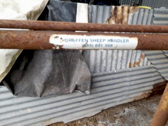 Draffen Sheep Handler