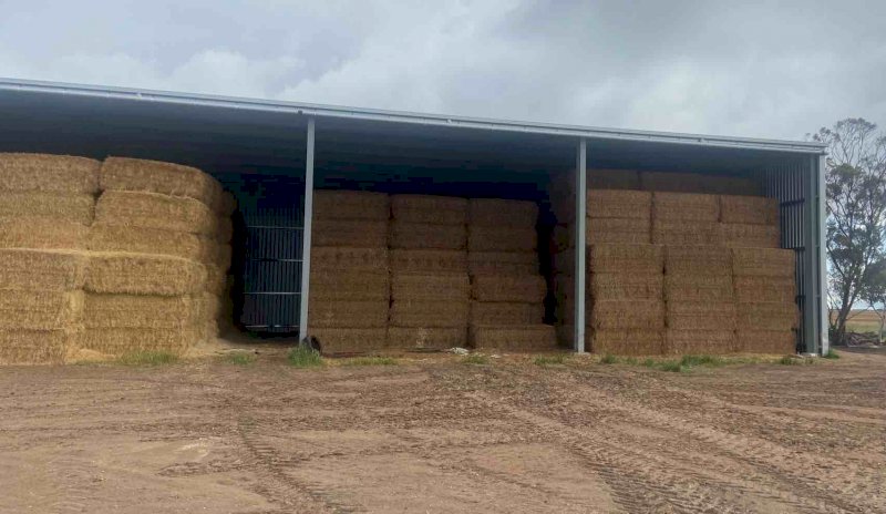 Vetch Hay 8x4x3 Bales | Farm Tender