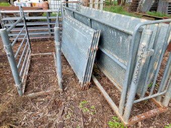 Sheep Yard Setup With Proway Race