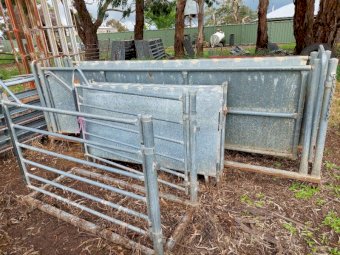 Sheep Yard Setup With Proway Race