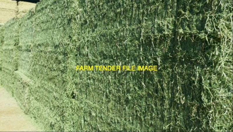 WANTED Premium Grade Lucerne Hay 8x4x3 Bales