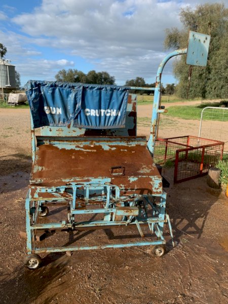 Henry Young Gun Crutcher