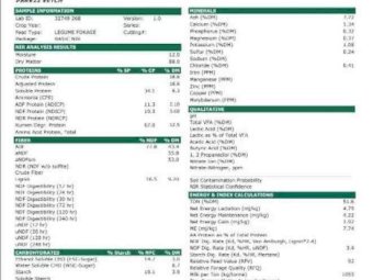 Vetch Hay 650kg 8x4x3 Bales (New Season 22/23)