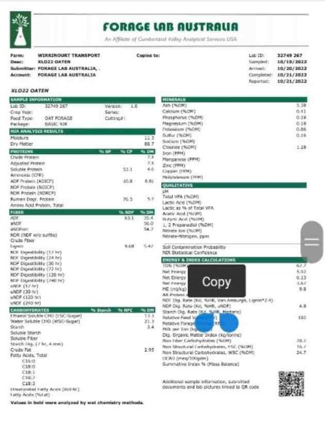 New Season Oaten Hay Off The Baler