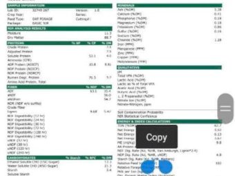 New Season Oaten Hay Off The Baler