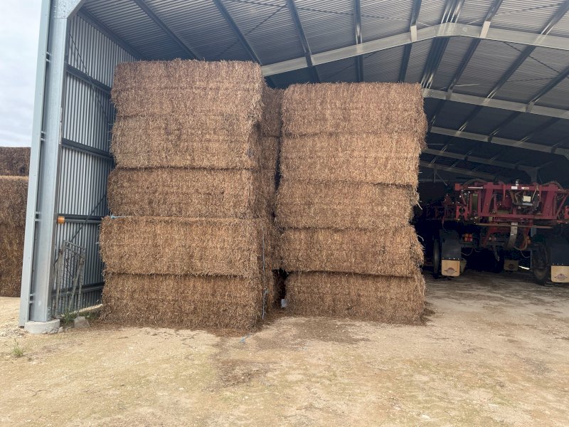 180mt Vetch Hay 600kg+ 8x4x3 Bales (New Season 22/23) | Farm Tender