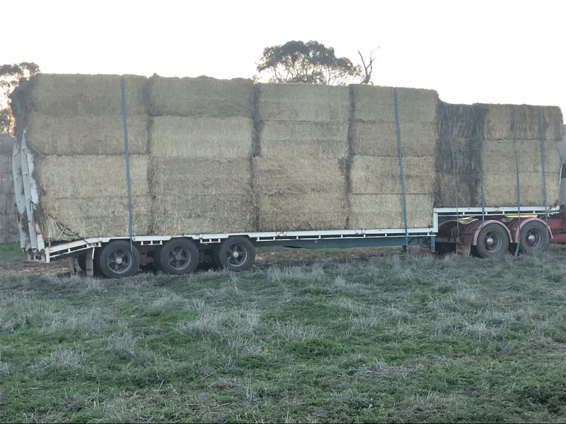 300mt Barley & Wheaten Straw 8x4x3 Bales