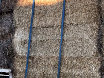 300mt Barley & Wheaten Straw 8x4x3 Bales