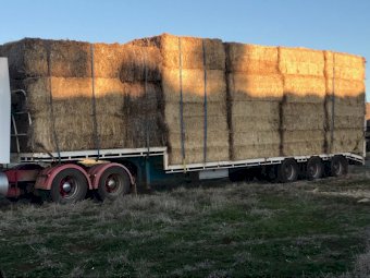 300mt Barley & Wheaten Straw 8x4x3 Bales