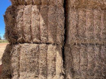 400mt Vetch Hay 600kg+ 8x4x3 Bales (New Season 22/23)