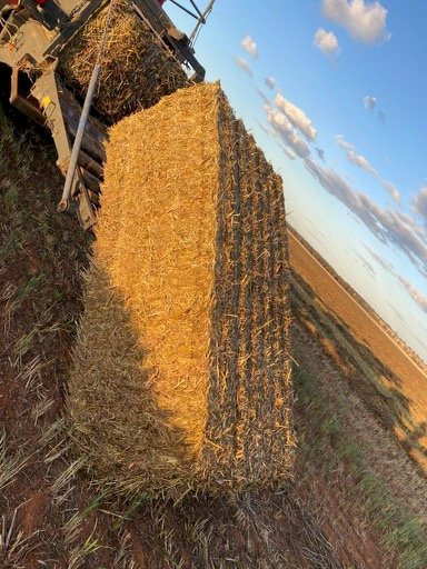 New Season Vetch Hay Off the Baler