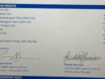 New Season Vetch Hay Off the Baler