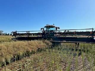 2014 Macdon M155 with D60 40' Front