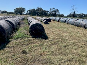 Lucerne Hay 5x4 Round Bales (21/22 Season)