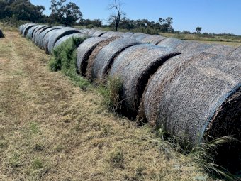 Lucerne Hay 5x4 Round Bales (21/22 Season)