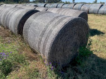 Lucerne Hay 5x4 Round Bales (21/22 Season)