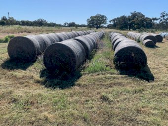 Lucerne Hay 5x4 Round Bales (21/22 Season)