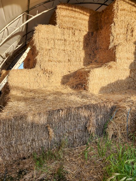 100mt Wheaten Straw 480-500kg 8x4x3 Bales (20/21)