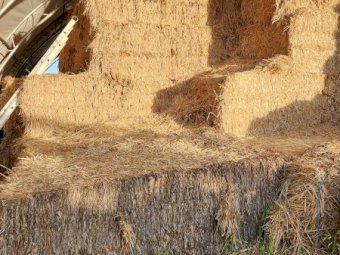 100mt Wheaten Straw 480-500kg 8x4x3 Bales (20/21)