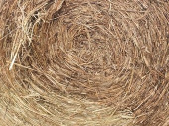 100 Bales of Oaten Silage