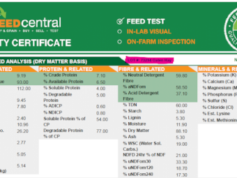 360mt Oaten Hay 550kg 8x4x3 Bales