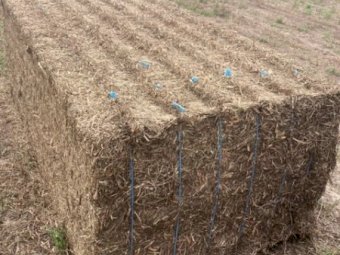 600mt Vetch Hay 650kg 8x4x3 Bales