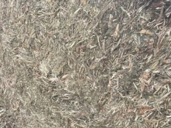 600mt Vetch Hay 650kg 8x4x3 Bales