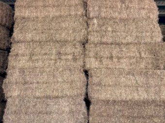 600mt Vetch Hay 650kg 8x4x3 Bales