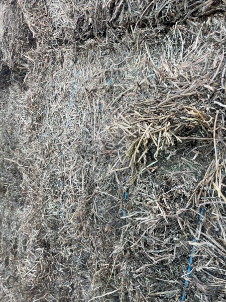 200mt Vetch Hay 8x4x3 Bales