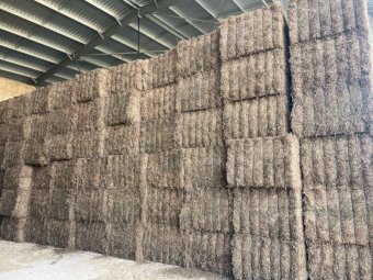 200mt Vetch Hay 8x4x3 Bales