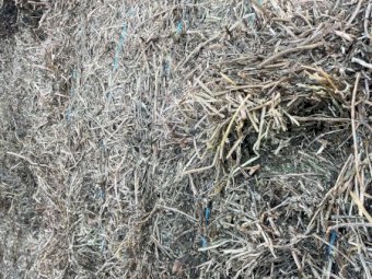 200mt Vetch Hay 8x4x3 Bales